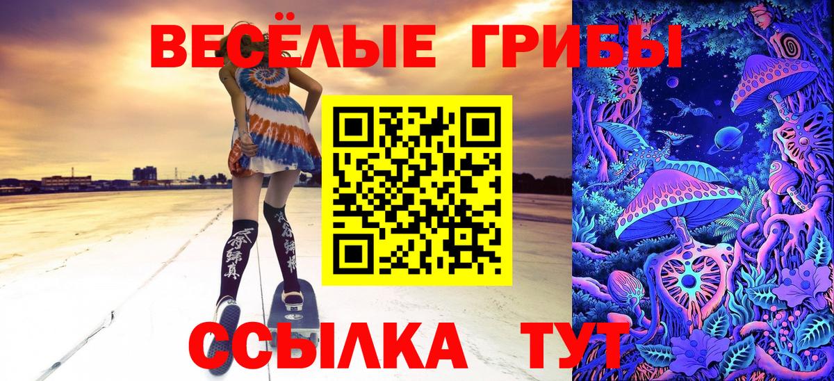 Галлюциногенные грибы прущие грибы  Вход с VPN  Павловский Посад 