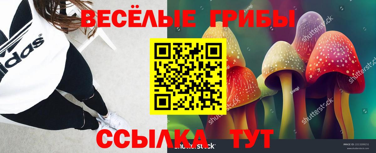 Галлюциногенные грибы GOLDEN TEACHER Павловский Посад